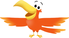 Toucan